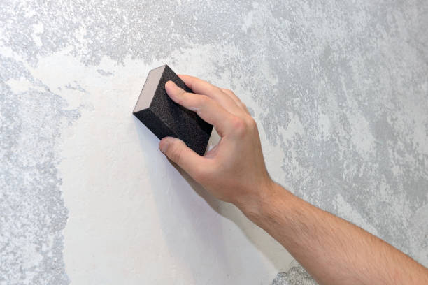 Best HVAC Mold Inspection and Cleaning  in Westchase, FL