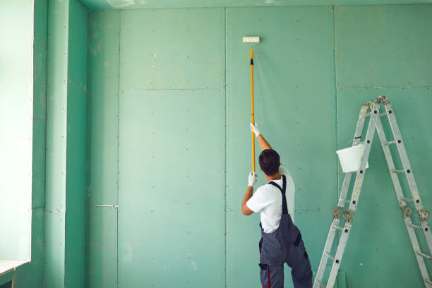 Best Comprehensive Air Testing for Mold Contaminants  in Westchase, FL
