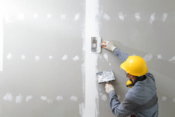 Mold Odor Removal Services in Westchase, FL