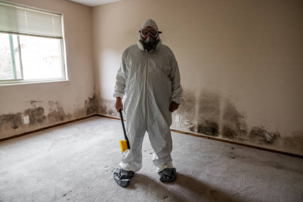 Best Biohazard Mold Removal  in Westchase, FL