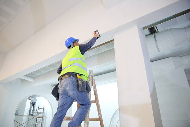 Best Residential Mold Inspection & Testing  in Westchase, FL